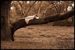 il tempo dell'abbandono 2