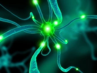 sinapsi stanche, composizione con tautogramma in S di Daniela&nbsp;Domenici