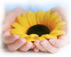 girasole_mano da sostegno.