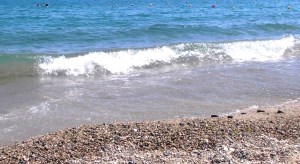 chicco oliveri doria 045