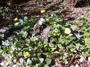 10612726_575823442550612_6970806417354075650_n