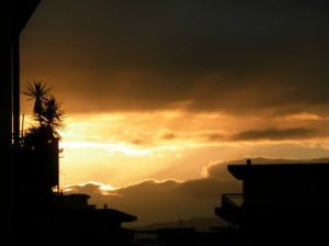 10410088_10205561596948611_8253911904949423539_n