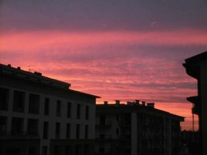 10991162_10205835582398076_328163369101900410_n