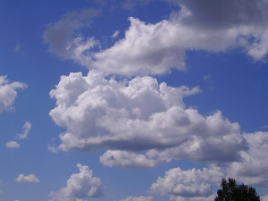 cumulinembi
