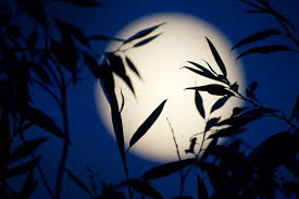 haiku della luna piena