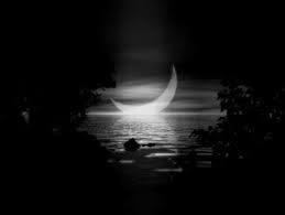 10982851_10205190933287423_8483285949148779447_n