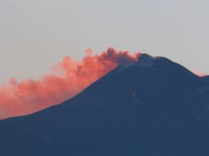 1520615_295356647282398_1513203209_n