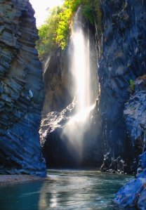 41121_481606219504_2390769_n