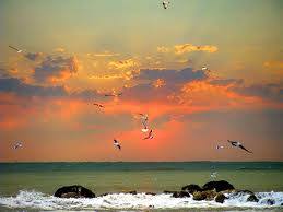 1937131_10207576762651666_4993855220562708434_n