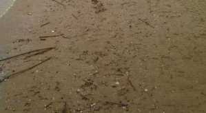 482814_0140703_241404314379960