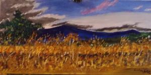 12509388_758379450961676_4465377921077356521_n