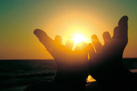 Ad una rosa che soffre nel suo letto