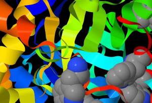 98f67e4d6f95298ed8e655e6e5cfda99