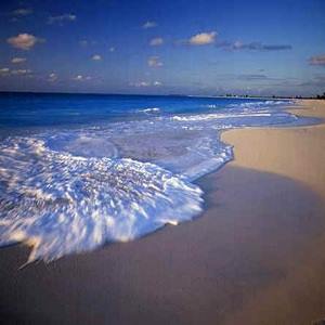 16114618_1729688780694077_8303828891088448071_n