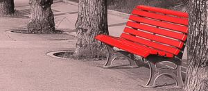 16997664_1257332777713365_3056636762268634726_n