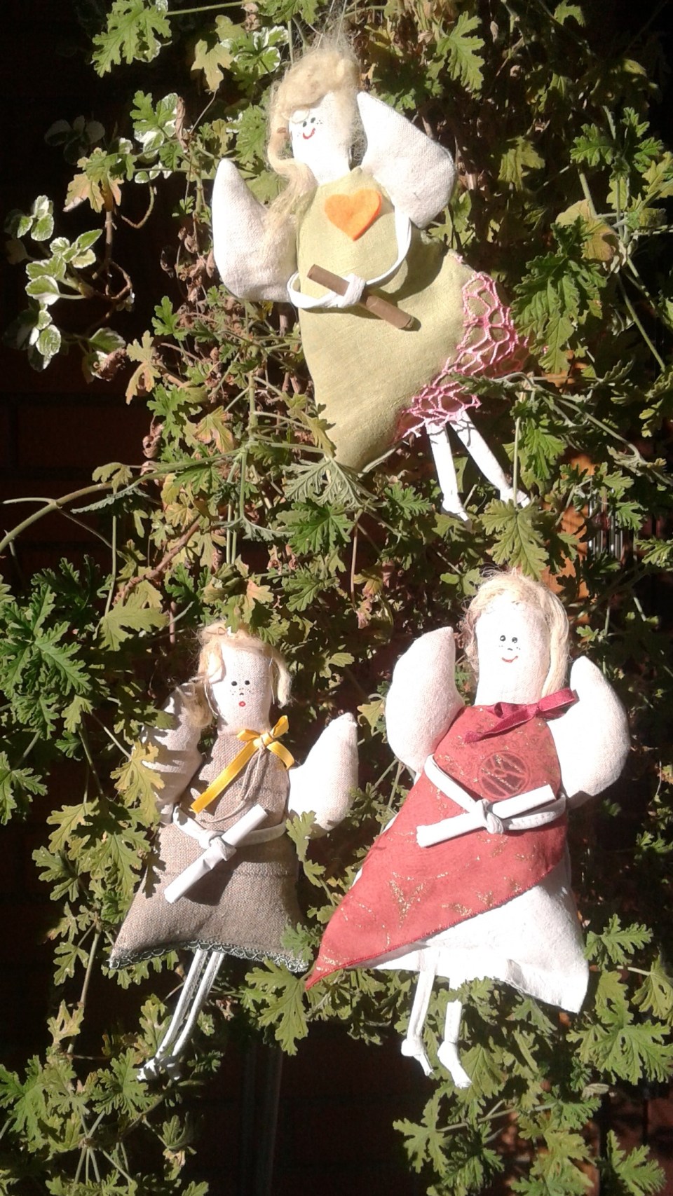 Angioletti porta messaggio di Luce