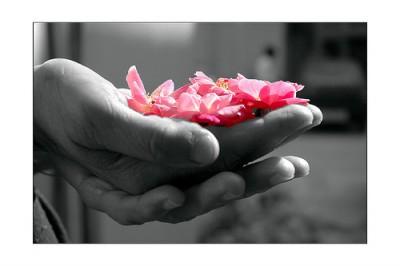 la fantasia piena di colore, composizione autoreferenziale in rima di Daniela&nbsp;Domenici